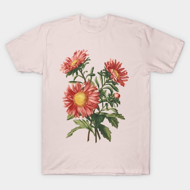 Flowers for mothers day T-Shirt by PallKris